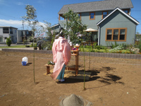 こだわりのある家（過程）